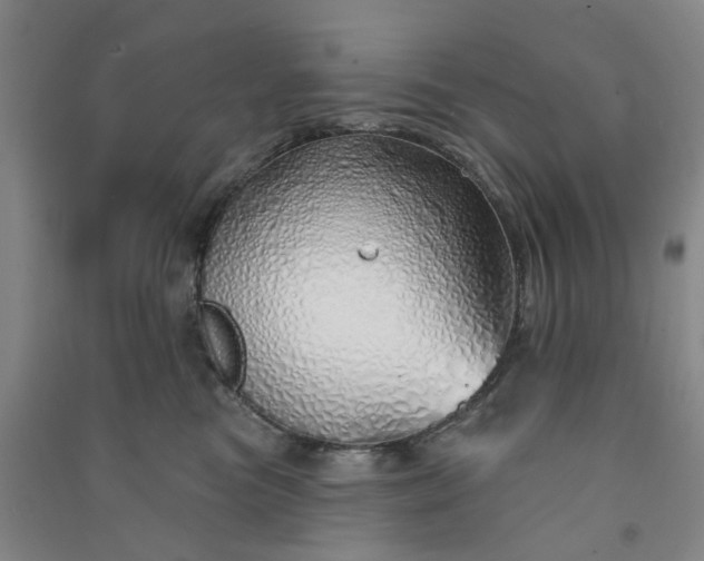 X0000091370473200708171549