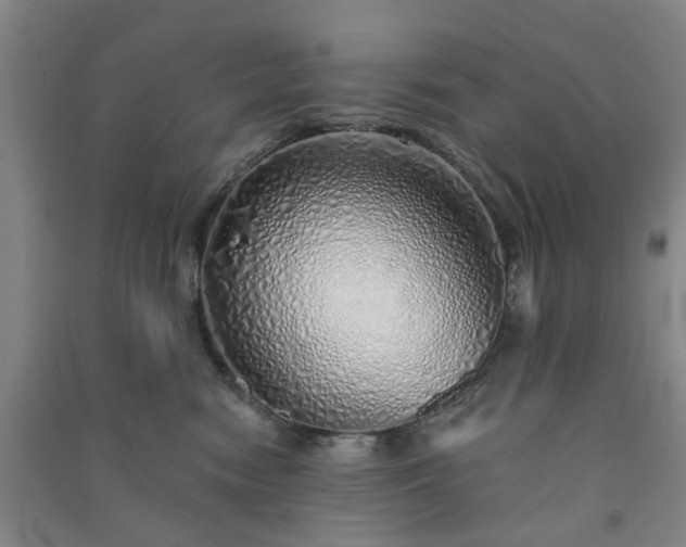 X0000091370474200708171549