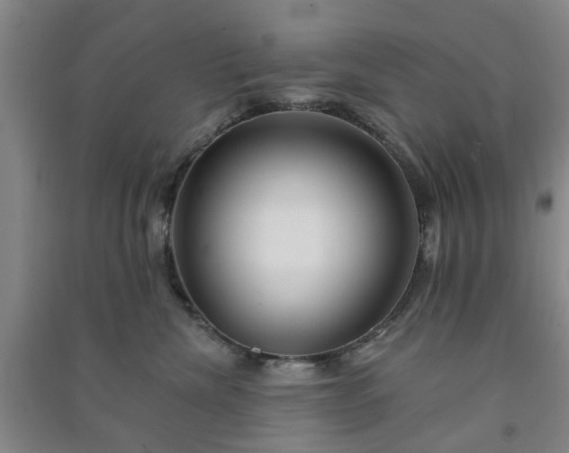 X0000091370476200708171549