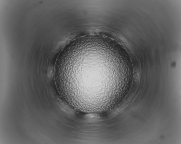 X0000091370477200708171549