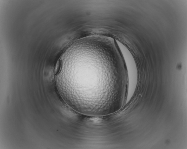 X0000091370478200708171549