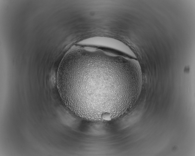 X0000091370479200708171549