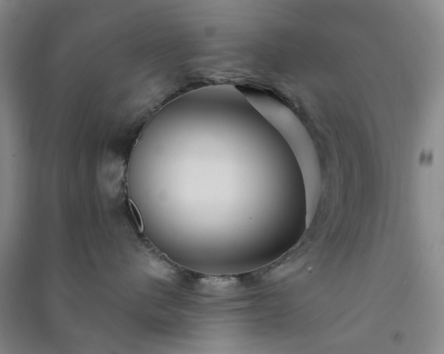 X0000091370480200708171549