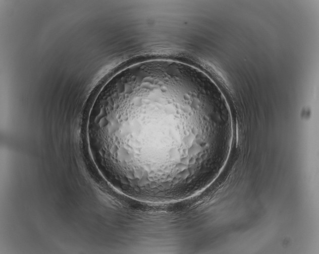 X0000091370483200708171548