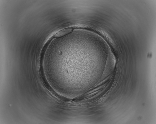 X0000091370484200708171548