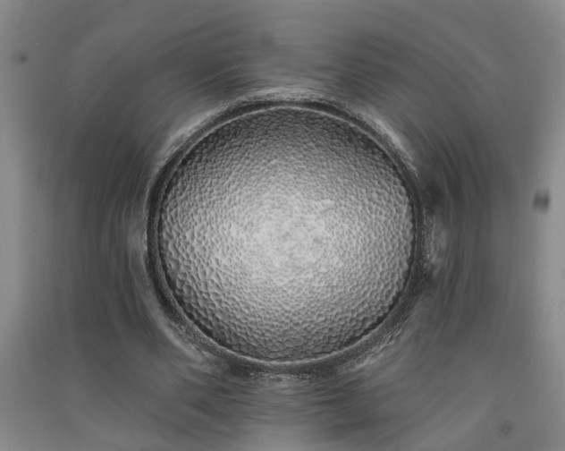 X0000091370486200708171548