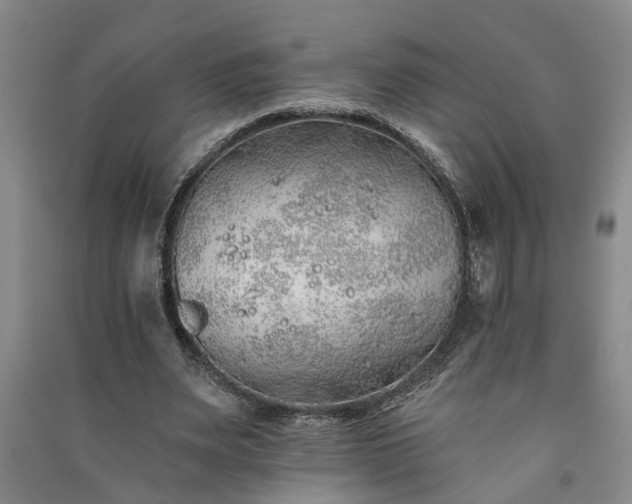 X0000091370487200708171548