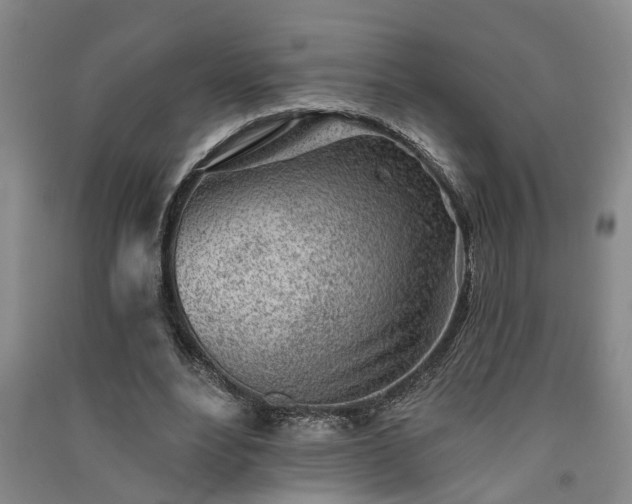 X0000091370488200708171548