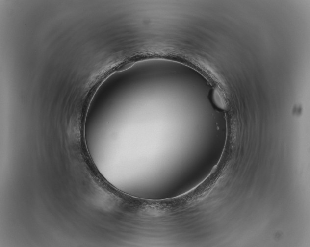 X0000091370489200708171548