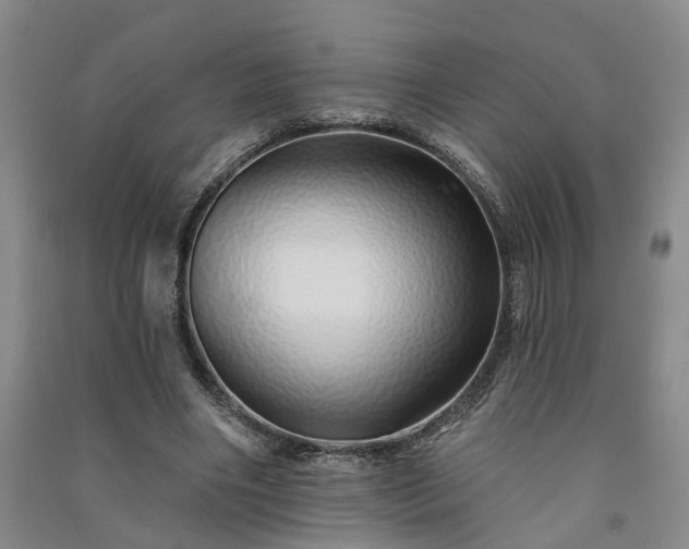 X0000091370490200708171548