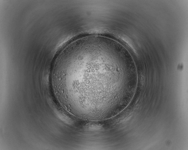 X0000091370491200708171548