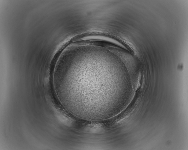 X0000091370492200708171548