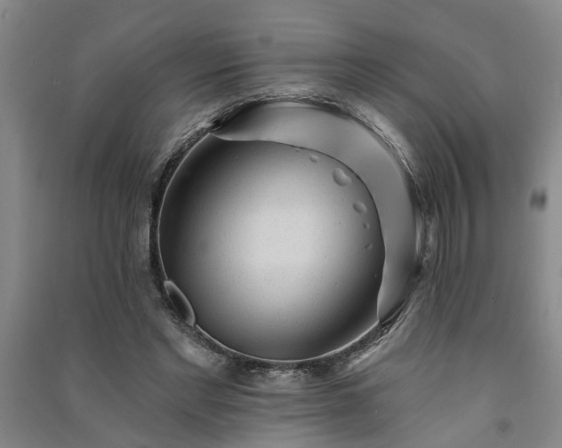 X0000091370493200708171548