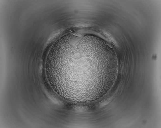 X0000091370494200708171548