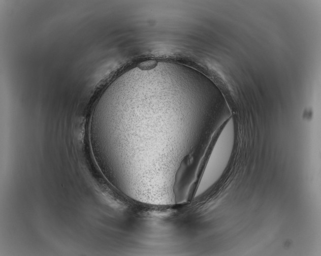 X0000091370495200708171548