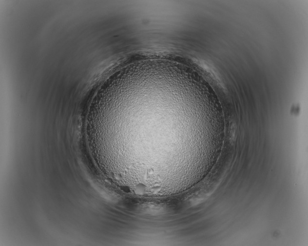 X0000091370498200708171548