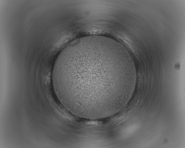 X0000091370499200708171548