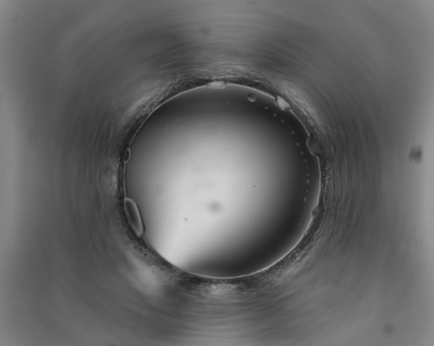 X0000091370501200708171548