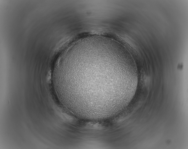 X0000091370502200708171548