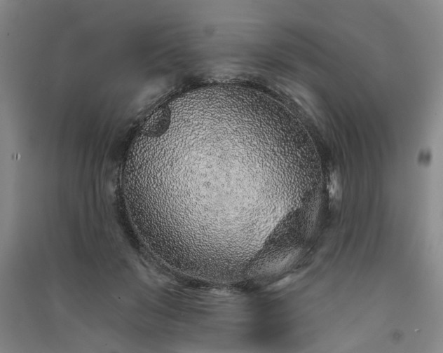 X0000091370503200708171548