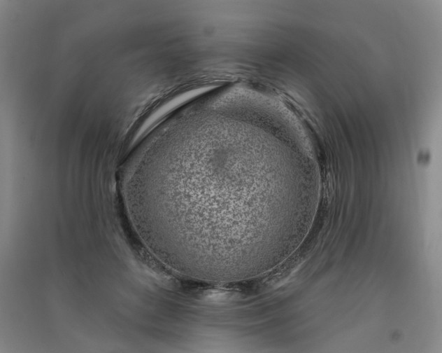 X0000091370504200708171548