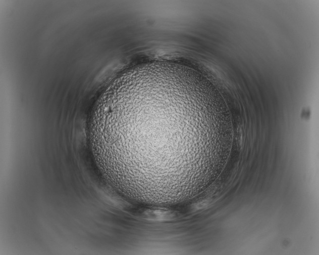 X0000091370506200708171548