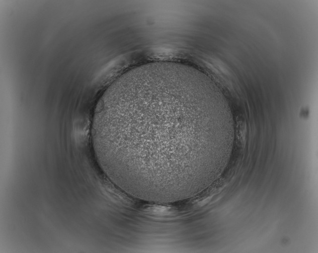 X0000091370507200708171548