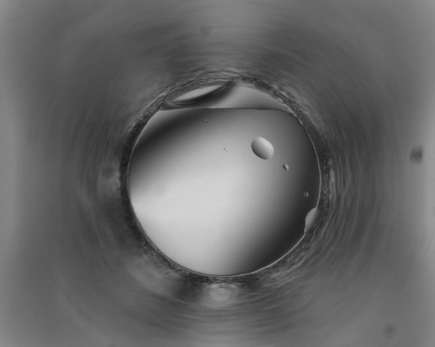 X0000091370508200708171548