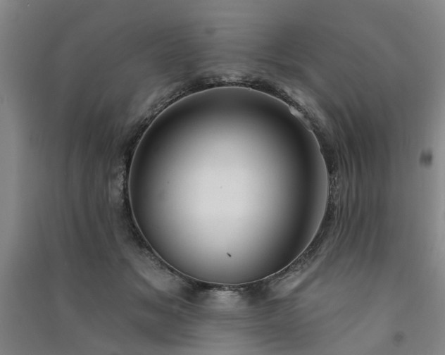 X0000091370509200708171548