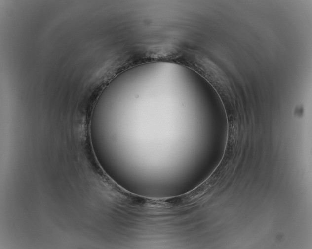 X0000091370510200708171548