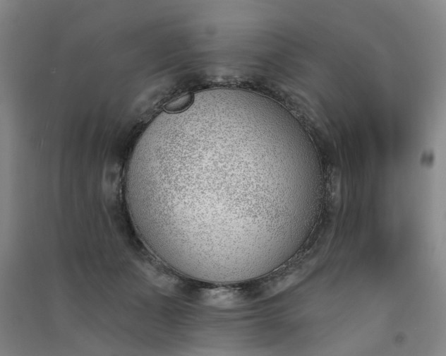 X0000091370511200708171548