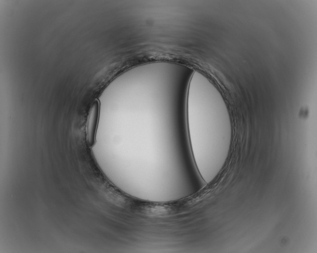 X0000091370513200708171548