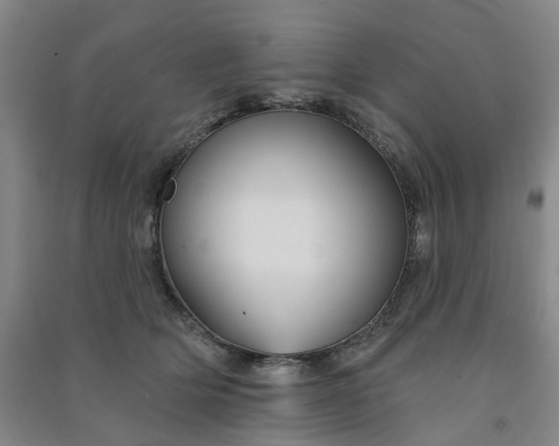 X0000091370514200708171548