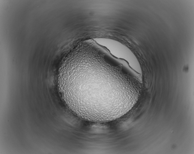 X0000091370515200708171548