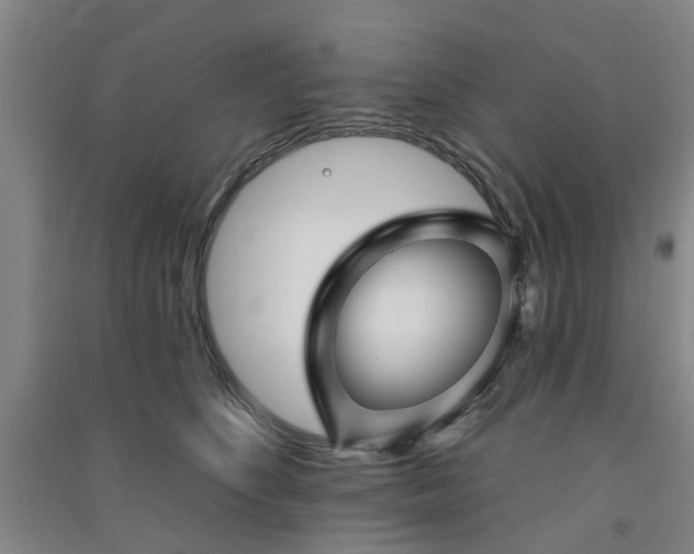 X0000091370516200708171547