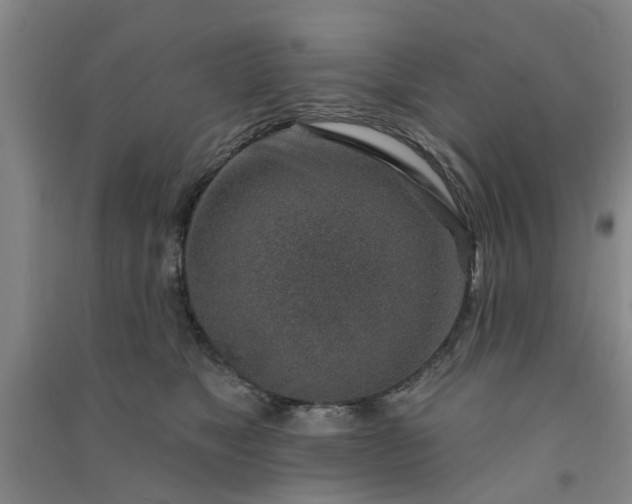 X0000091370517200708171547