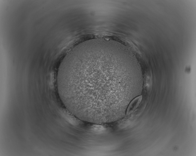 X0000091370519200708171547