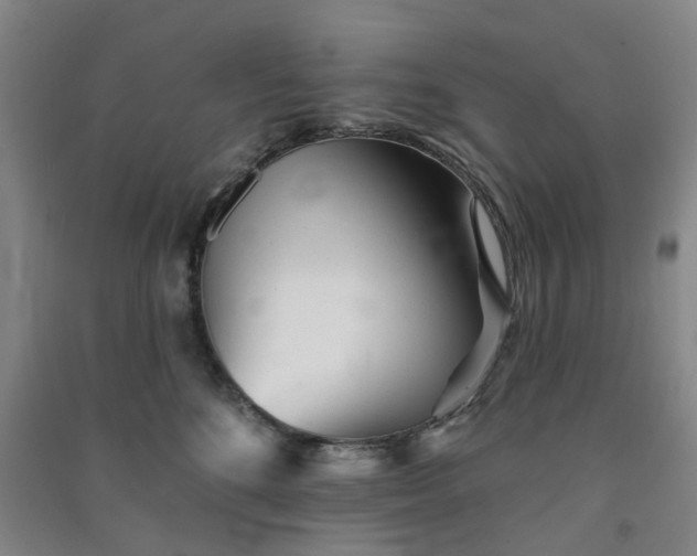 X0000091370520200708171547