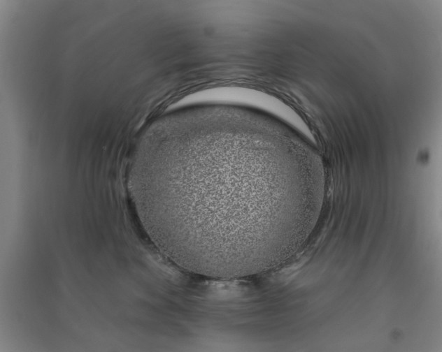 X0000091370524200708171547