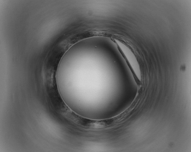 X0000091370525200708171547