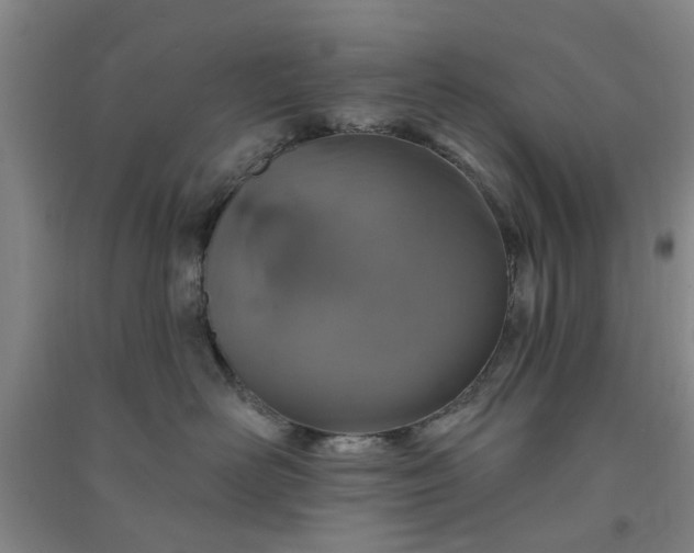 X0000091370526200708171547