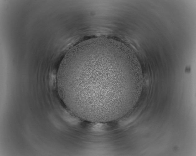 X0000091370527200708171547