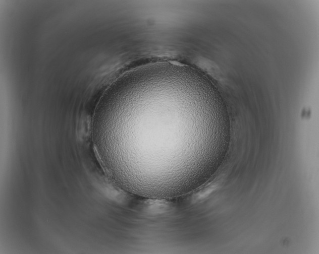 X0000091370528200708171547