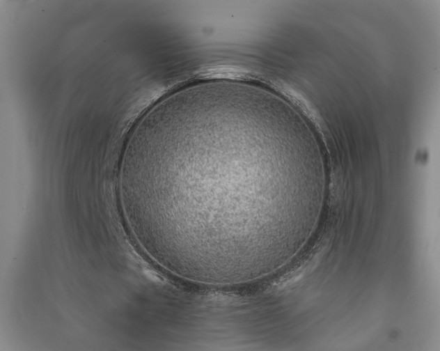 X0000091370529200708171547