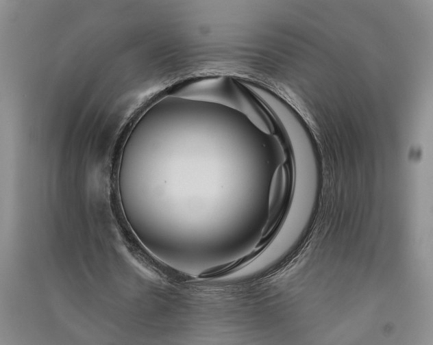 X0000091370530200708171547