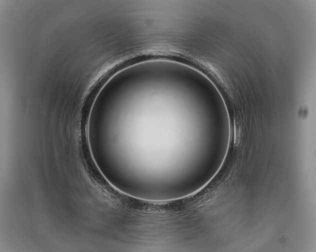 X0000091370531200708171547