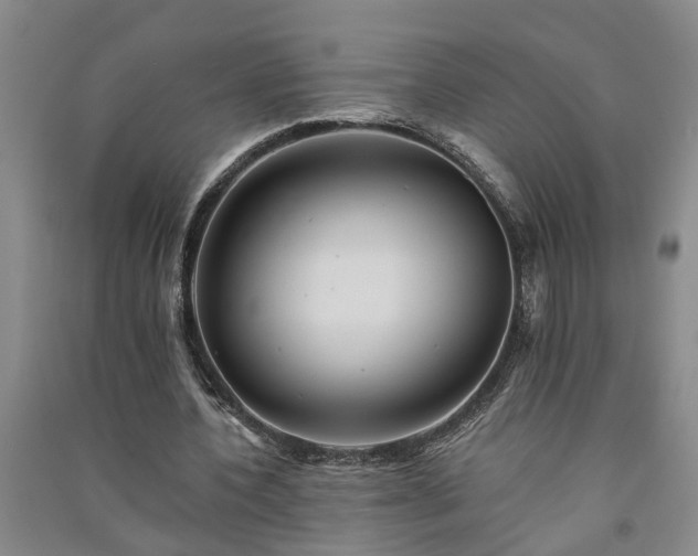 X0000091370532200708171547