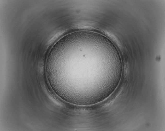 X0000091370533200708171547