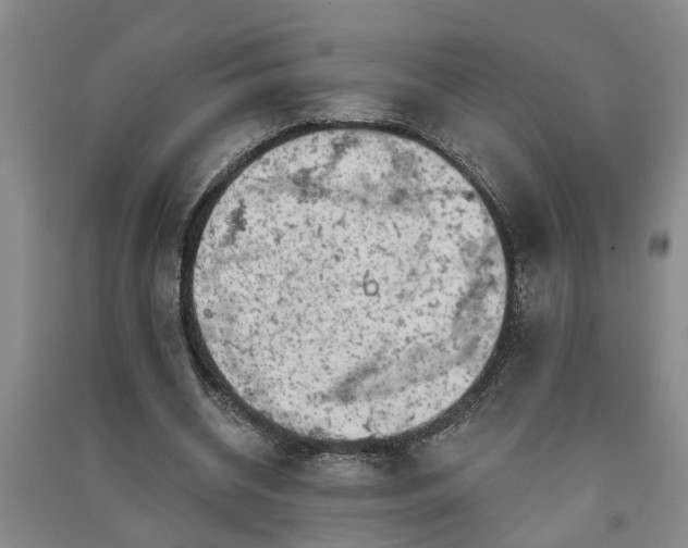 X0000091370534200708171547