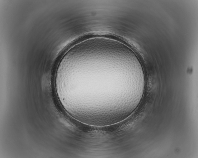 X0000091370535200708171547